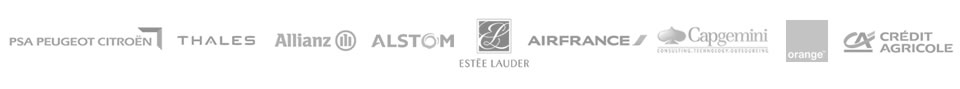 partenaires-apprentissage-emlv partenaires-apprentissage-emlv