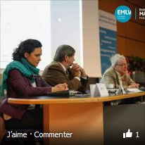 emlv ecole management paris la defense conference finance et entreprise solidaires des alternatives durables facebook - Conférence Finance et Entreprise solidaires, des alternatives durables