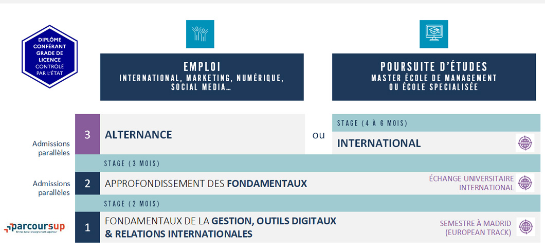 bachelor business management - Bachelor Digital & International Business