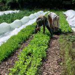 EMLV Travail atypique et entrepreneuriat collectif