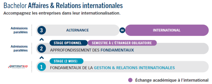 Bachelor Affaires & Relations Internationales bachelor affaires relations internationales 720x286 - Bachelor Affaires & Relations Internationales