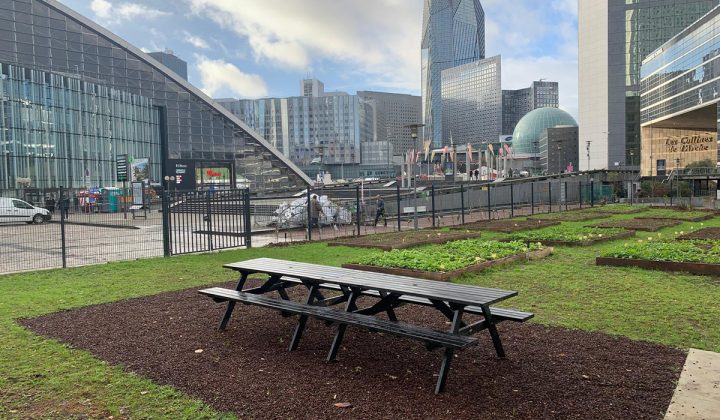 DeVinci Durable a inaugur&eacute; le Potager du P&ocirc;le en partenariat avec l&rsquo;&Eacute;tablissement Public Paris La D&eacute;fense.