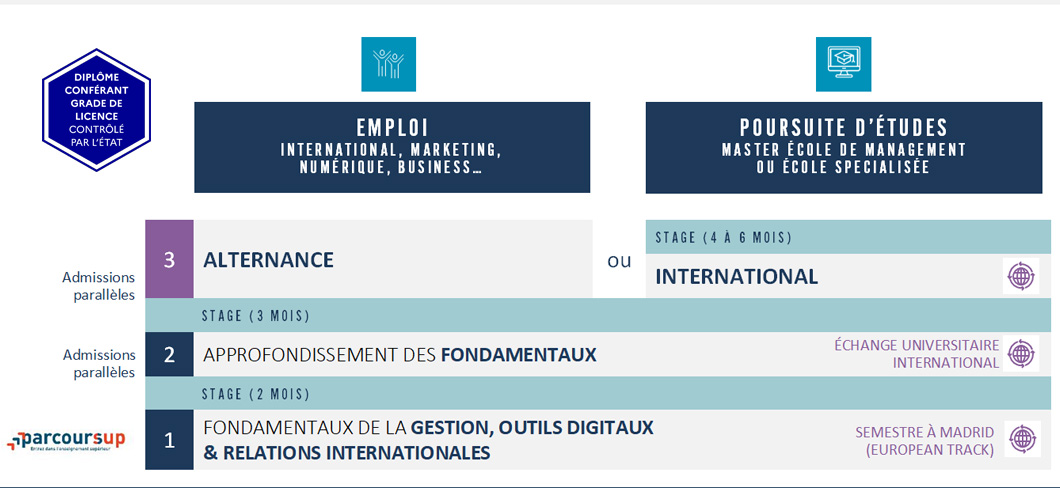 bachelor business management - Bachelor Affaires & Relations Internationales